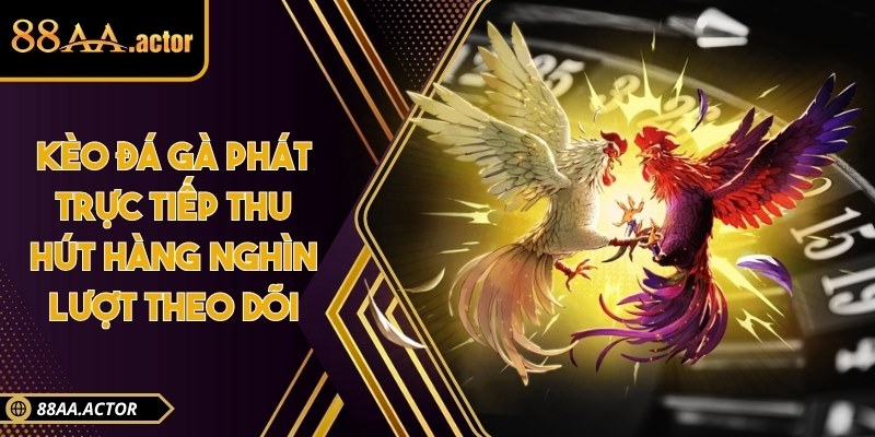 Kèo đá gà phát trực tiếp thu hút hàng nghìn lượt theo dõi