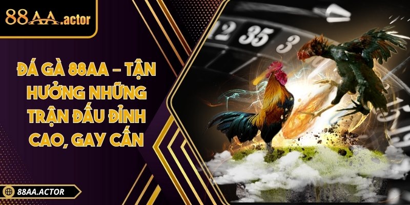 Đá gà 88AA